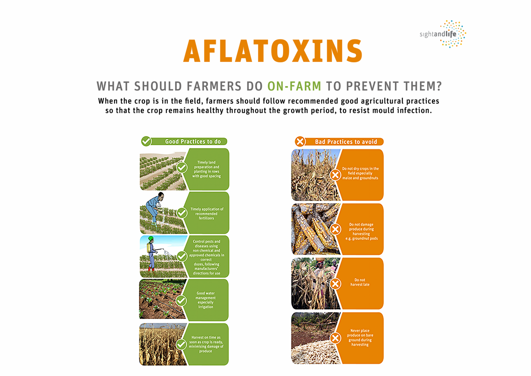 How can we prevent aflatoxins