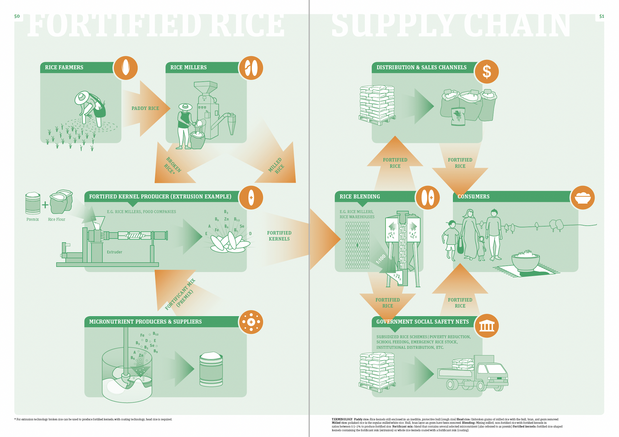 Fortified Rice Supply Chain