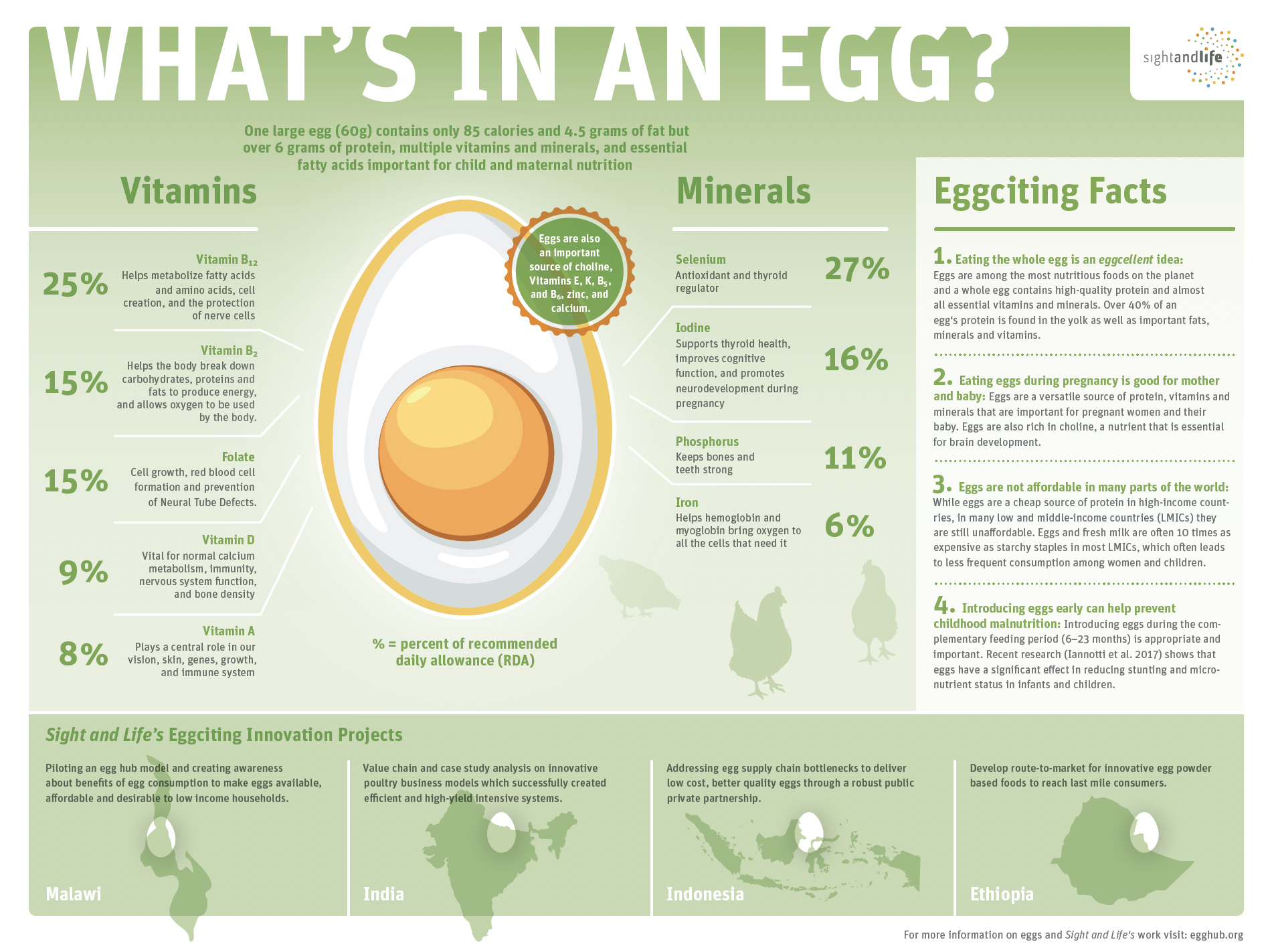 What's in an Egg?