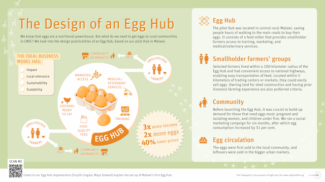 The Design of an Egg Hub